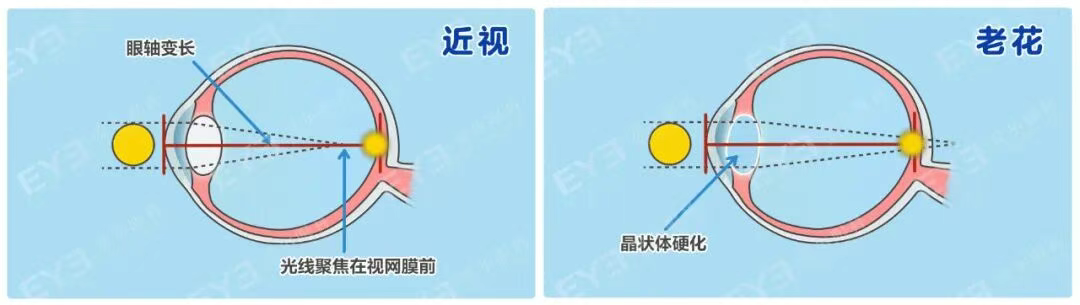 图片.png 图片.png